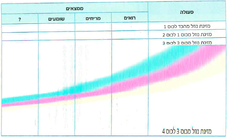 (בספר תמונה)